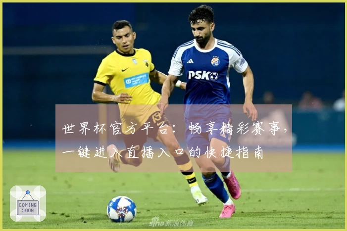 世界杯官方平台:畅享精彩赛事,一键进入直播入口的快捷指南