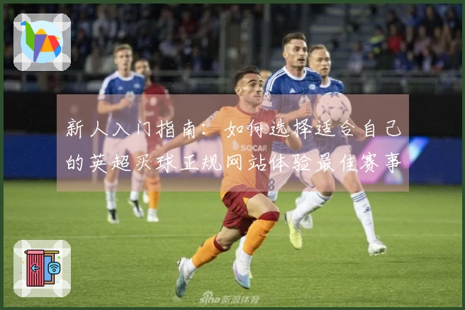 新人入门指南：如何选择适合自己的英超买球正规网站体验最佳赛事直播
