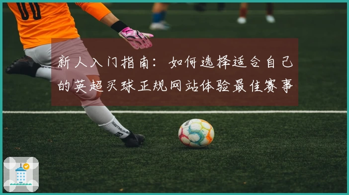 新人入门指南：如何选择适合自己的英超买球正规网站体验最佳赛事直播