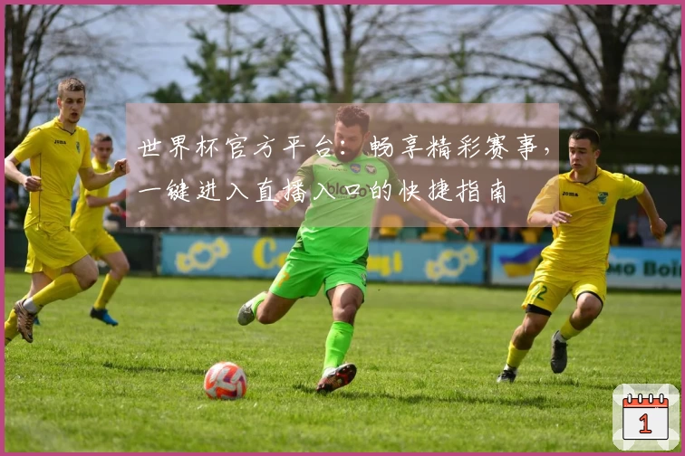 世界杯官方平台：畅享精彩赛事，一键进入直播入口的快捷指南